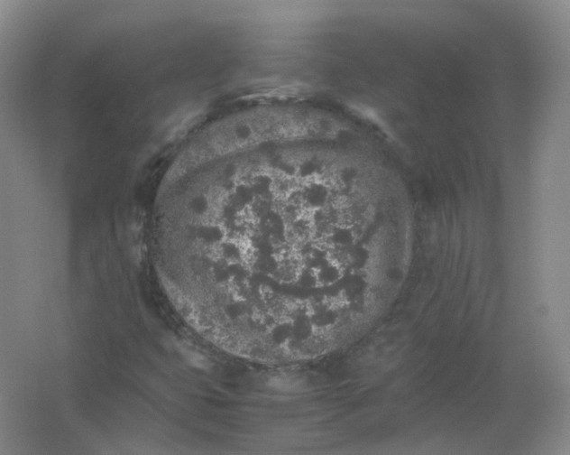 X0000062171399200512231613