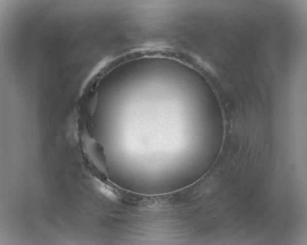 X0000062171400200512231613