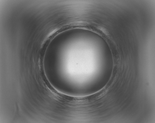 X0000062171402200512231613