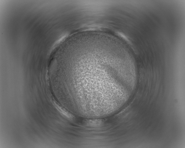 X0000062171403200512231613