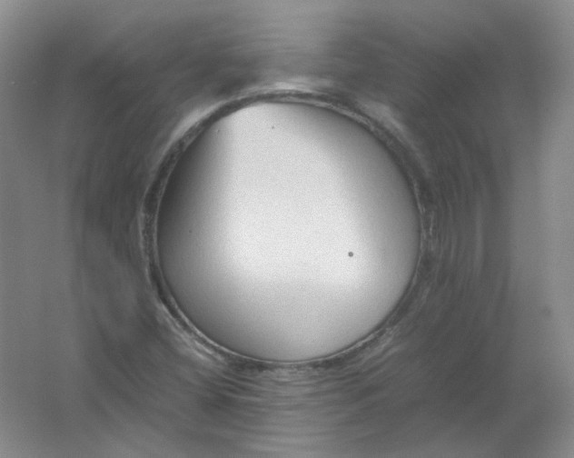 X0000062171404200512231613