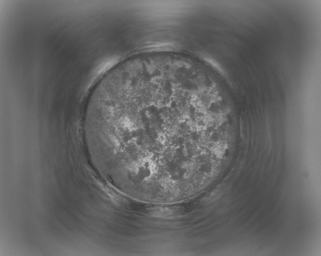 X0000062171405200512231613