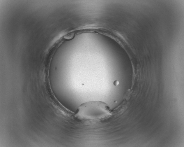 X0000062171406200512231613