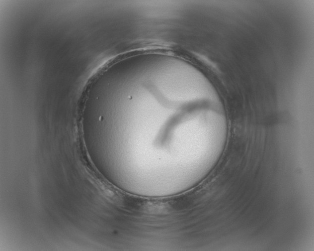 X0000062171407200512231613