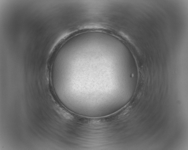 X0000062171408200512231613