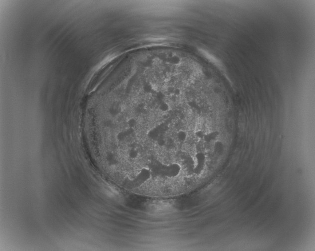 X0000062171411200512231614