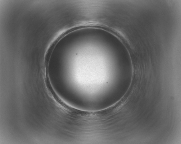 X0000062171414200512231614