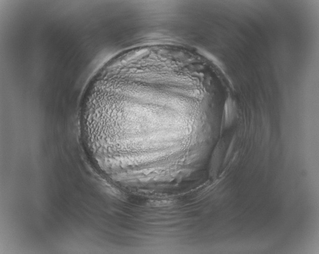 X0000062171415200512231614