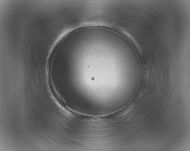 X0000062171416200512231614