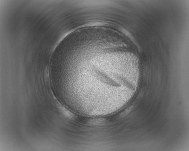 X0000062171417200512231614