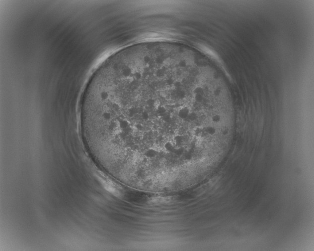 X0000062171419200512231614