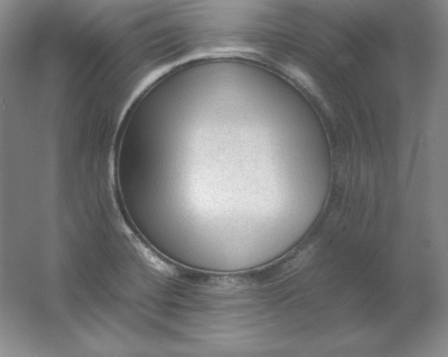 X0000062171420200512231614