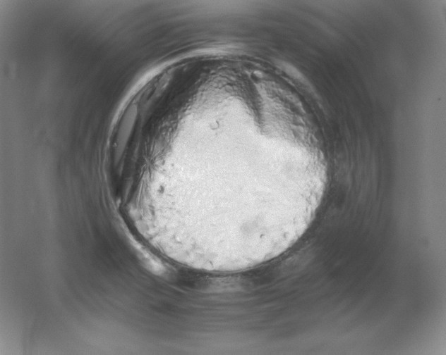 X0000062171421200512231614