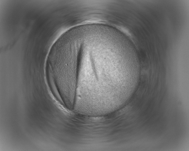 X0000062171423200512231614