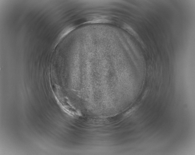 X0000062171425200512231614