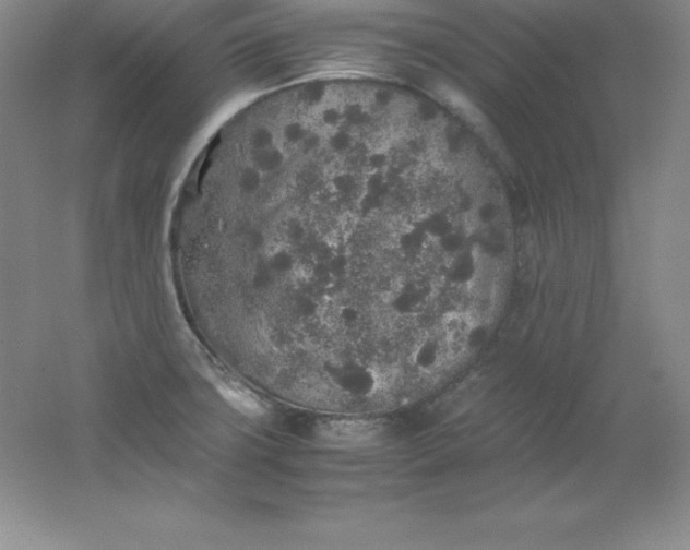 X0000062171427200512231614