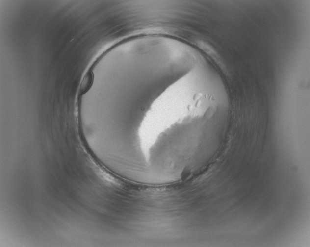 X0000062171428200512231614