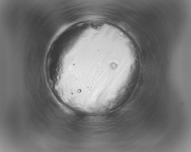 X0000062171429200512231614