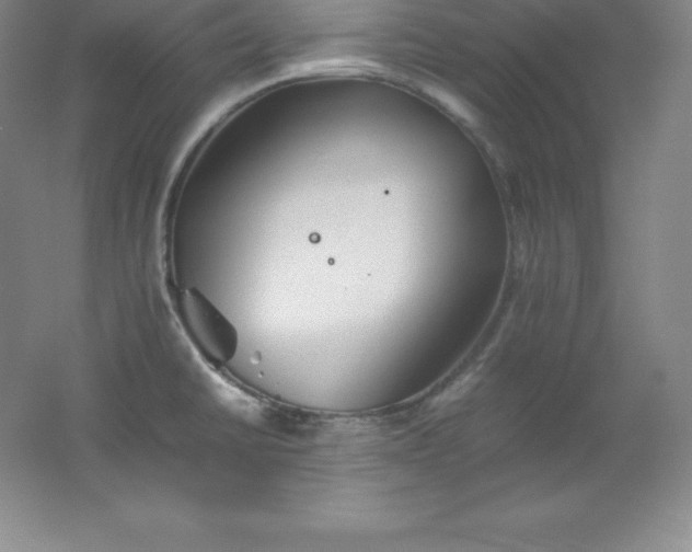 X0000062171430200512231614