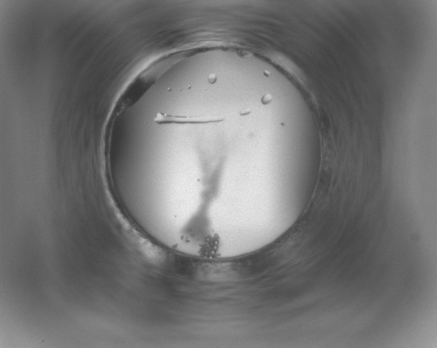 X0000062171431200512231614