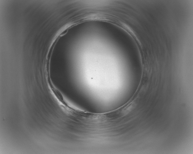 X0000062171434200512231614