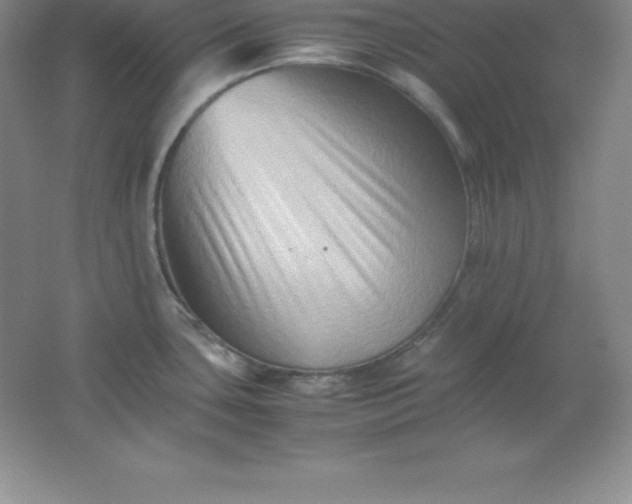 X0000062171435200512231614