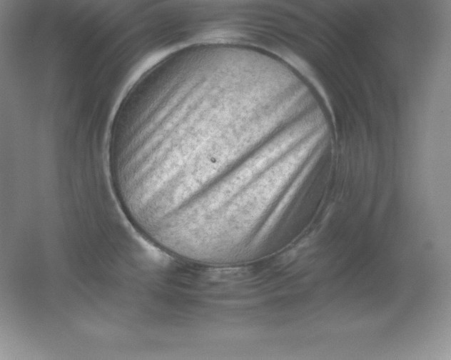 X0000062171437200512231614