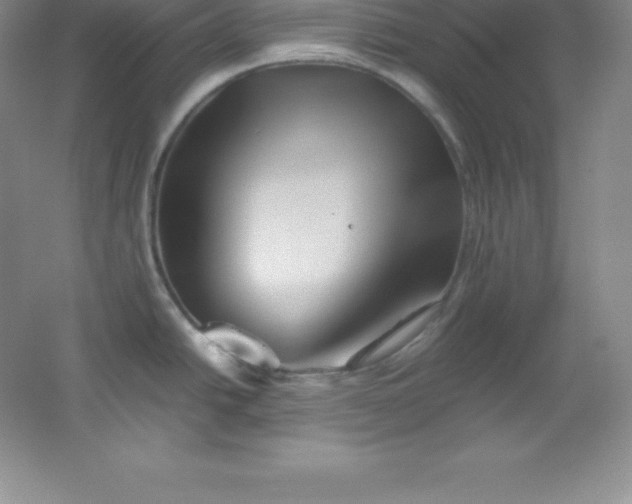 X0000062171438200512231614