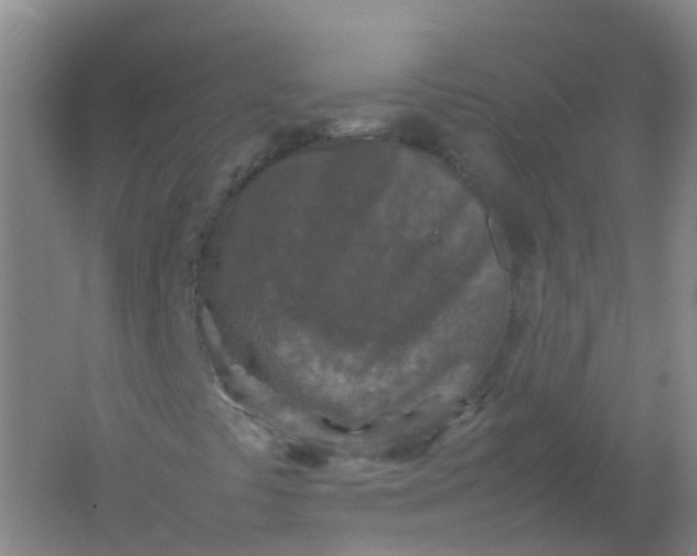 X0000062171441200512231613