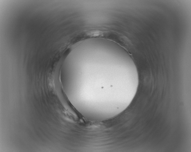 X0000062171442200512231613