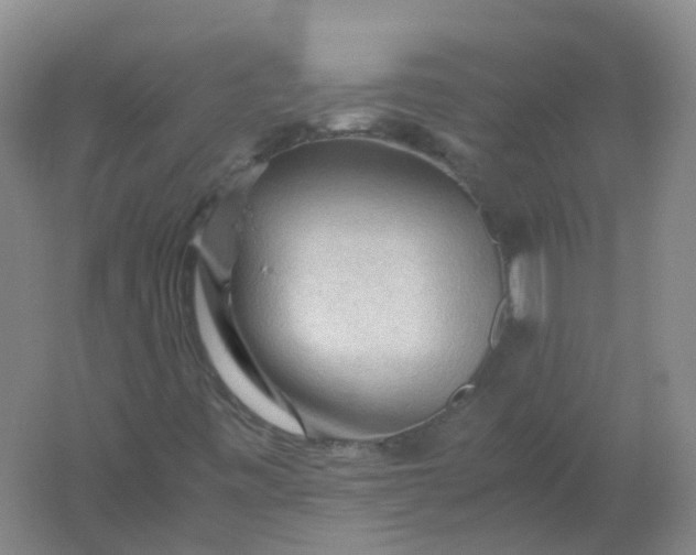 X0000062171443200512231613