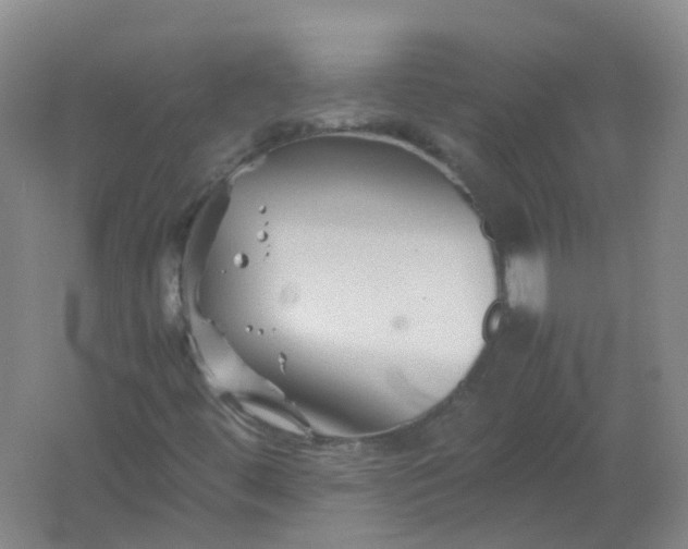 X0000062171444200512231613