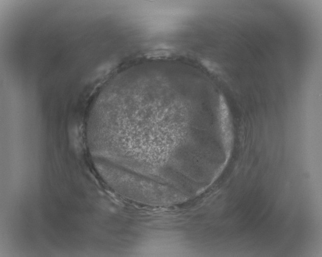 X0000062171445200512231613