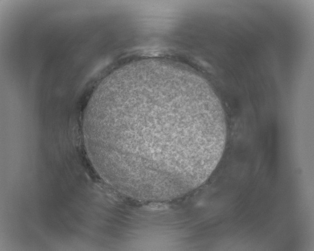 X0000062171446200512231613