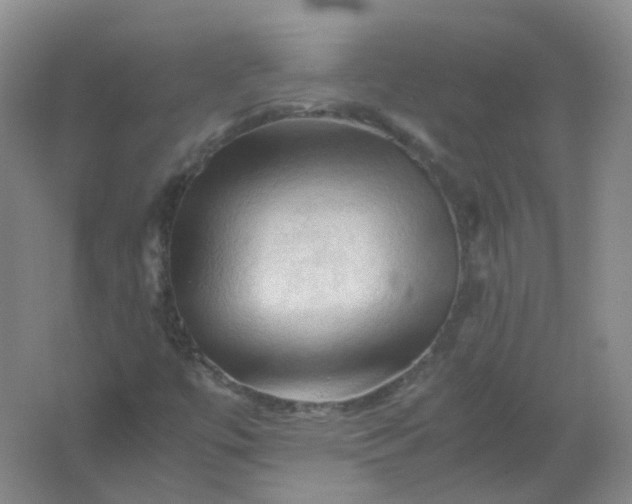 X0000062171447200512231613