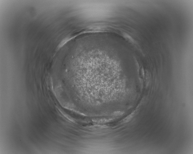 X0000062171449200512231613