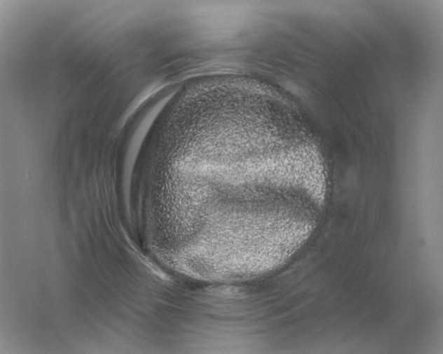 X0000062171450200512231613