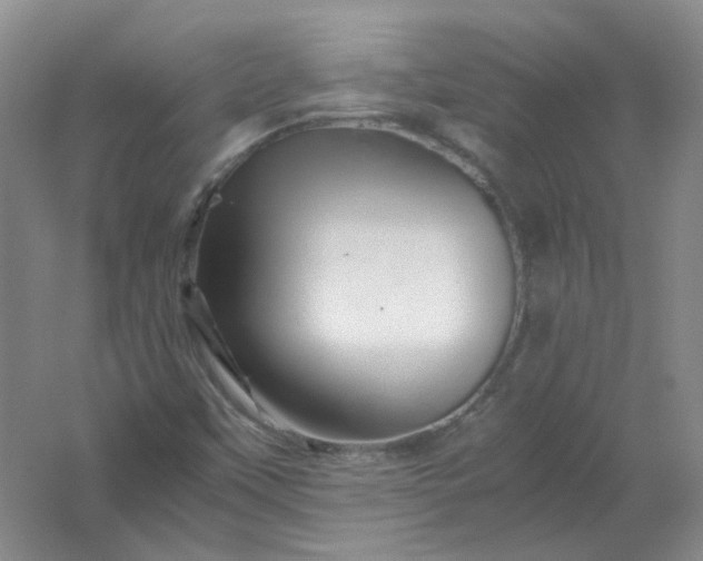 X0000062171451200512231613