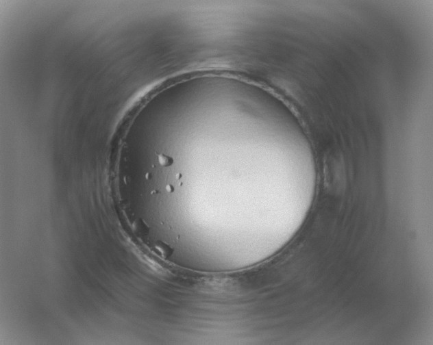 X0000062171452200512231613