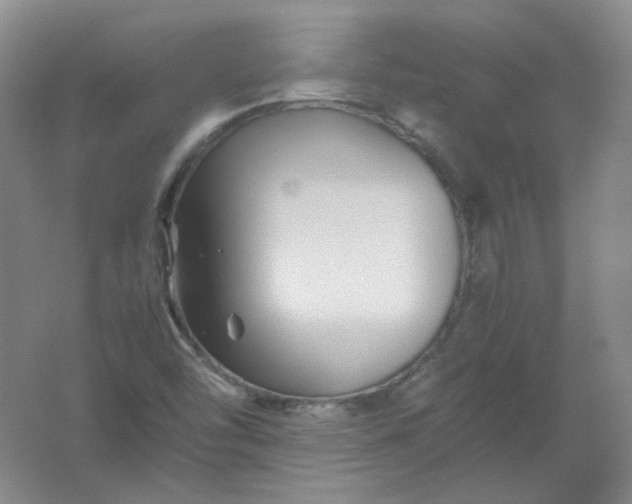 X0000062171454200512231613