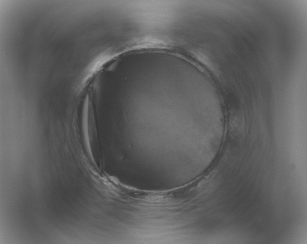 X0000062171455200512231613