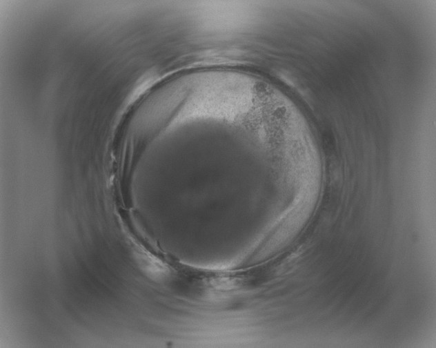 X0000062171459200512231613