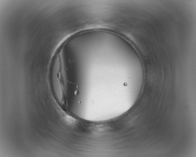 X0000062171460200512231613