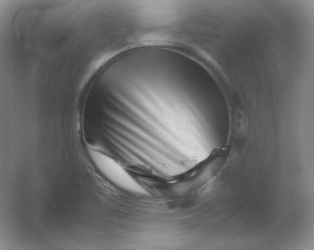 X0000062171461200512231613