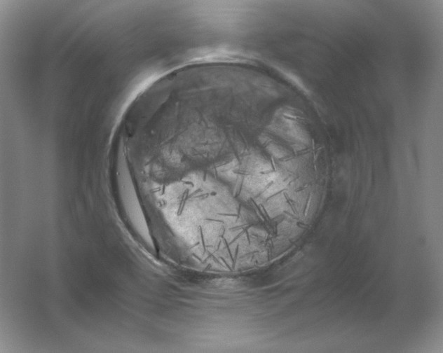 X0000062171463200512231613