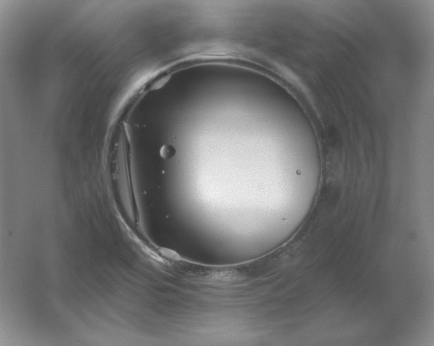 X0000062171464200512231613