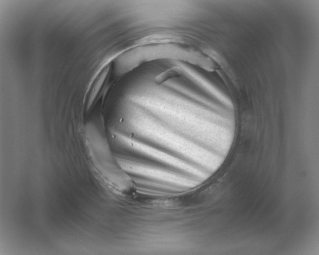 X0000062171465200512231613