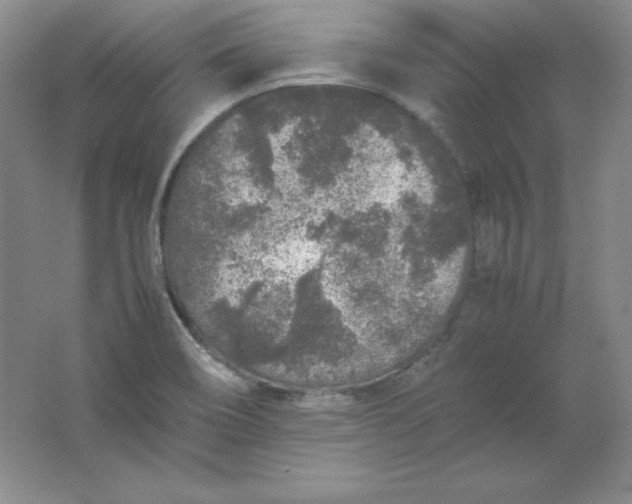 X0000062171466200512231613