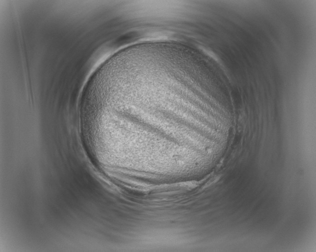 X0000062171467200512231613