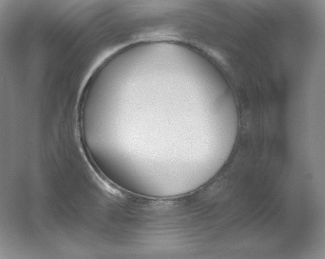 X0000062171470200512231613